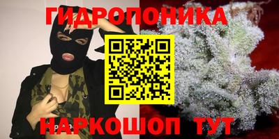эйфоретик Ливны