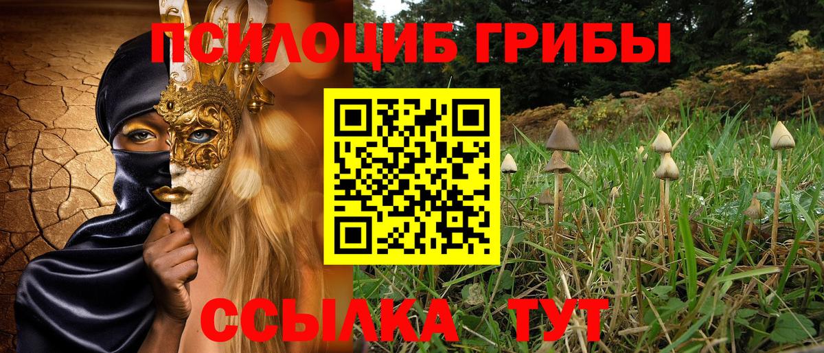 Фролово  Галлюциногенные грибы GOLDEN TEACHER  Вход с VPN 