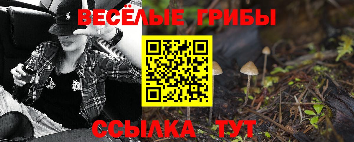 Псилоцибиновые грибы мухоморы Фролово